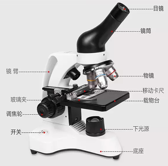 640倍显微镜PY-018C